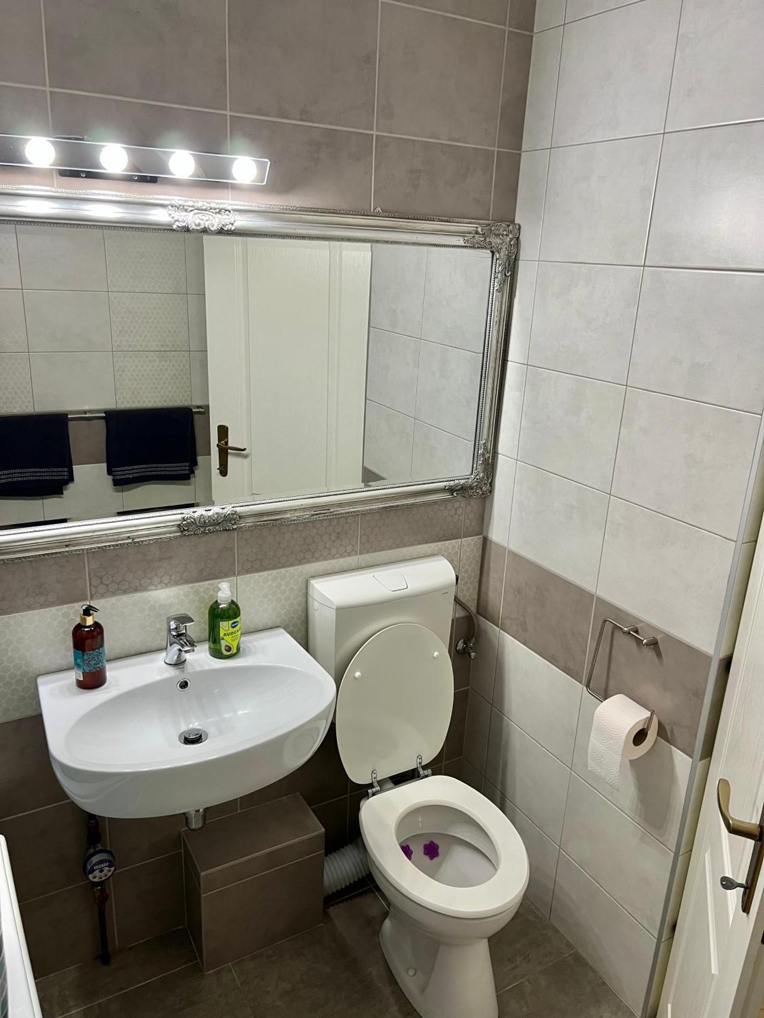 Aparthotel Aurel Vlaicu City Center Cluj-Napoca Buitenkant foto