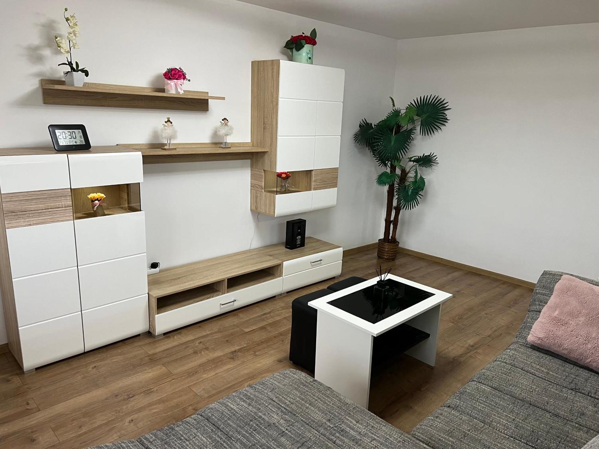 Aparthotel Aurel Vlaicu City Center Cluj-Napoca Buitenkant foto